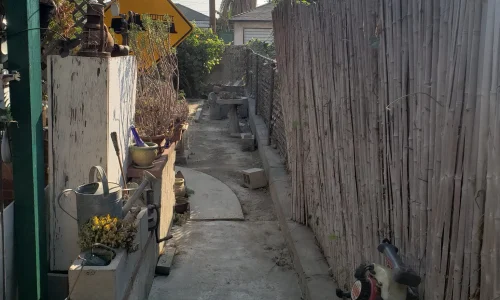 Wetland Landscaping Maintenance 5 1