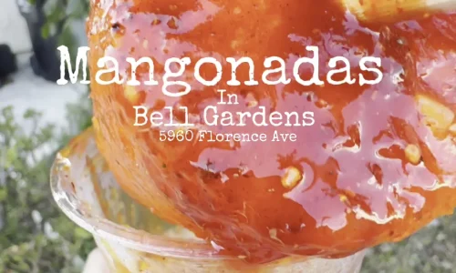 Zapopan Inc Los Unicos Y Originales Bionicos Y Jug 2 1