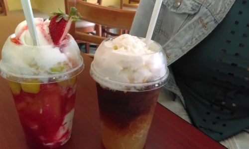 Zapopan Inc Los Unicos Y Originales Bionicos Y Jug 4 1